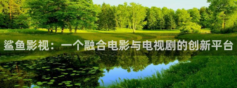 飘雪影视在线观看完整：鲨鱼影视：一个融合电影与电视剧的创新平台