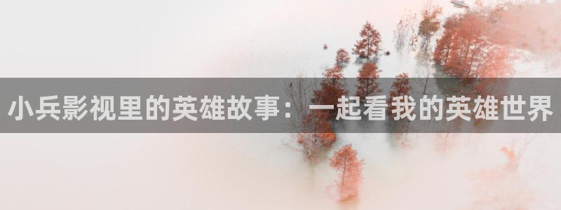 飘雪影视在线看：小兵影视里的英雄故事：一起看我的英雄世界