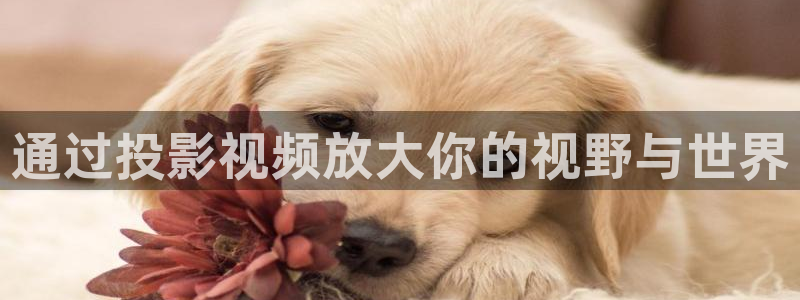 飘雪影院手机版高清免费观看：通过投影视频放大你的视野与世界