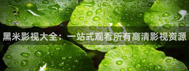 飘雪影院在线观看免费完整电影：黑米影视大全：一站式观看所有高清影视资源